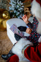 Odie Santa 2024